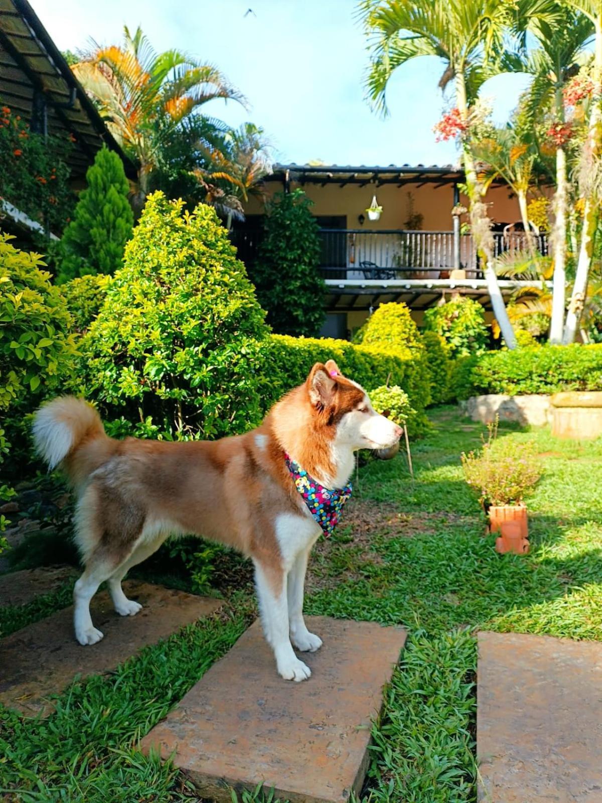 Hotel Campestre Casona Del Camino Real San Gil Ngoại thất bức ảnh